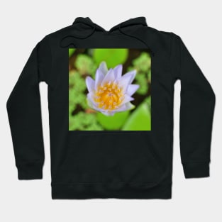 Egyptian Lotus Close Up Hoodie